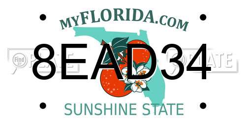 8EAD34 Florida License Plate