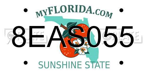 8EAS055 Florida License Plate