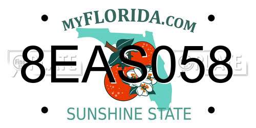 8EAS058 Florida License Plate