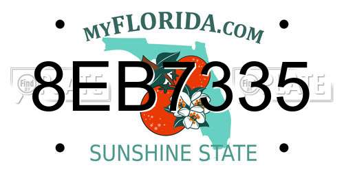 8EB7335 Florida License Plate