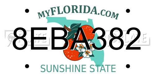 8EBA382 Florida License Plate