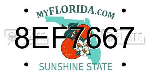 8EF7667 Florida License Plate