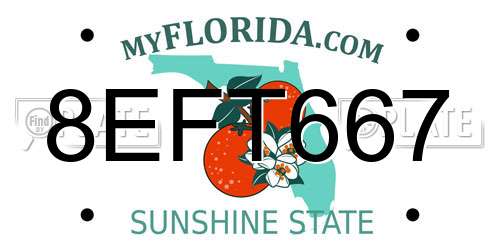 8EFT667 Florida License Plate