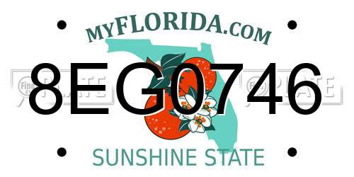 8EG0746 Florida License Plate