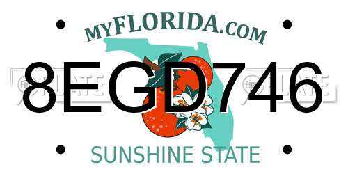 8EGD746 Florida License Plate