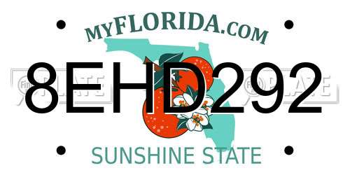 8EHD292 Florida License Plate