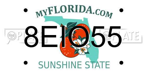 8EIO55 Florida License Plate