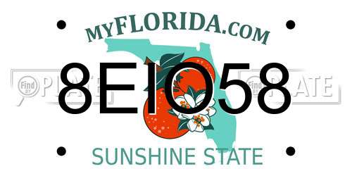 8EIO58 Florida License Plate