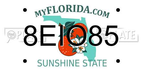 8EIO85 Florida License Plate