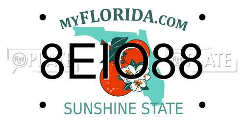 8EIO88 Florida License Plate