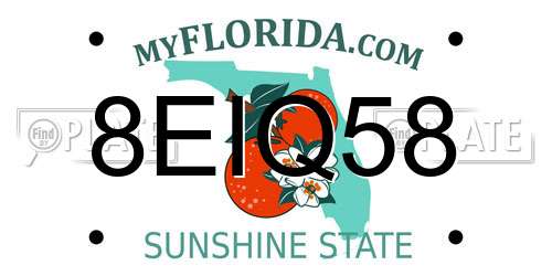 8EIQ58 Florida License Plate