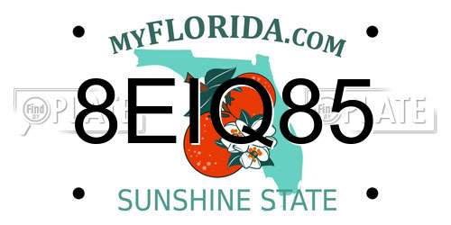8EIQ85 Florida License Plate