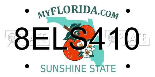 8ELS410 Florida License Plate