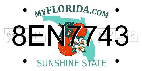 8EN7743 Florida License Plate