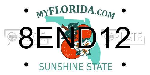 8END12 Florida License Plate