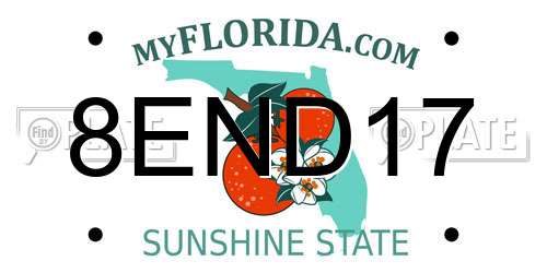 8END17 Florida License Plate