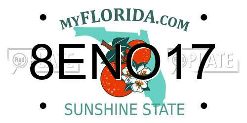 8ENO17 Florida License Plate
