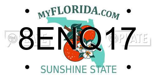 8ENQ17 Florida License Plate