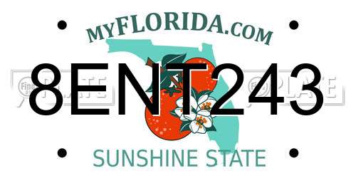 8ENT243 Florida License Plate