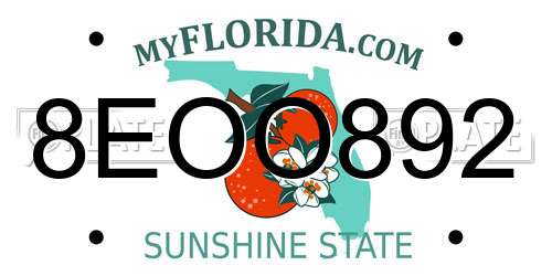 8EOO892 Florida License Plate