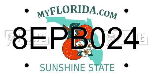 8EPB024 Florida License Plate