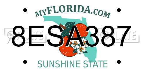 8ESA387 Florida License Plate