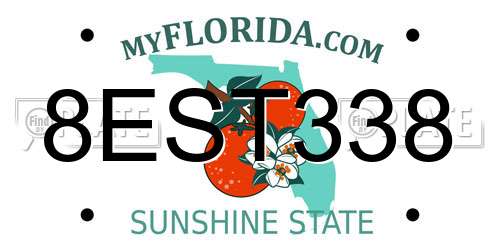 8EST338 Florida License Plate