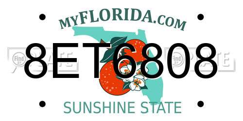 8ET6808 Florida License Plate