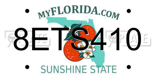 8ETS410 Florida License Plate