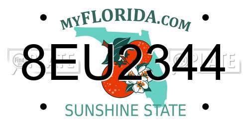 8EU2344 Florida License Plate