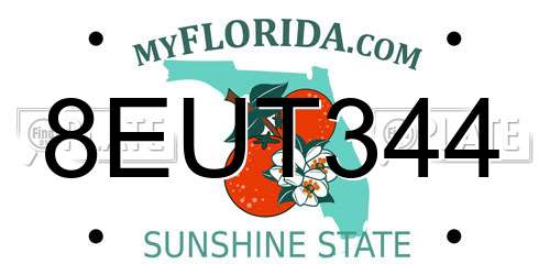 8EUT344 Florida License Plate