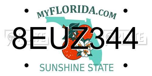8EUZ344 Florida License Plate