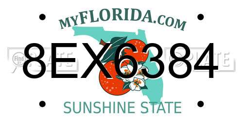 8EX6384 Florida License Plate