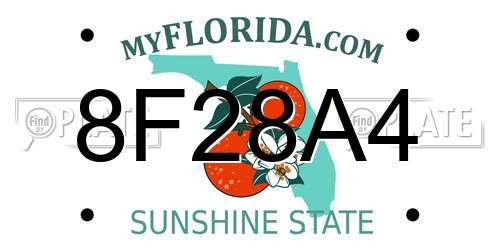 8F28A4 Florida License Plate