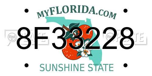 8F33228 Florida License Plate