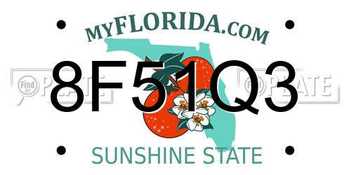 8F51Q3 Florida License Plate