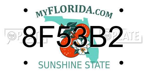 8F53B2 Florida License Plate