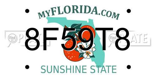 8F59T8 Florida License Plate