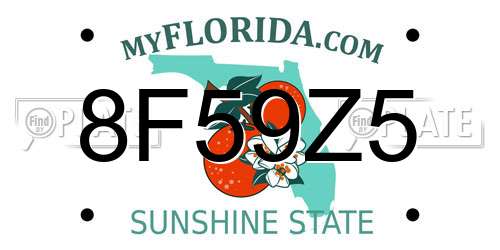 8F59Z5 Florida License Plate