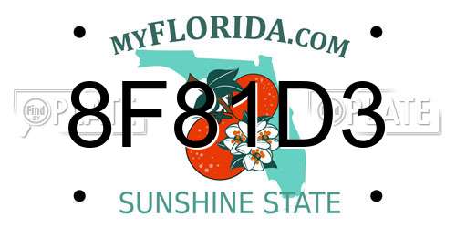 8F81D3 Florida License Plate