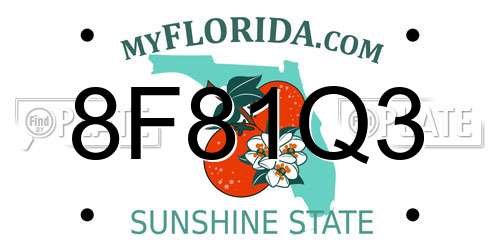 8F81Q3 Florida License Plate