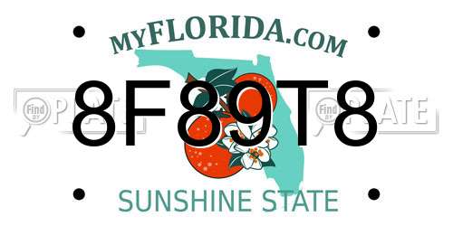 8F89T8 Florida License Plate
