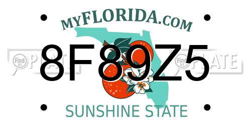 8F89Z5 Florida License Plate
