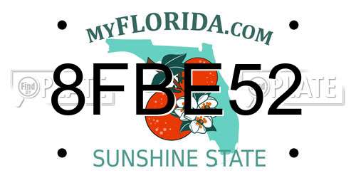 8FBE52 Florida License Plate
