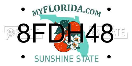 8FDH48 Florida License Plate