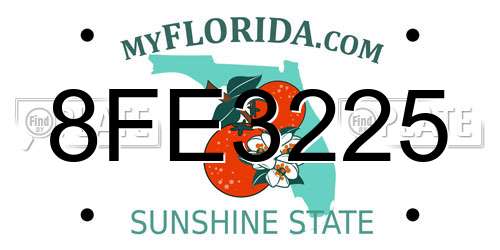 8FE3225 Florida License Plate