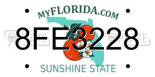 8FE3228 Florida License Plate