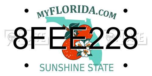 8FEE228 Florida License Plate