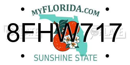 8FHW717 Florida License Plate