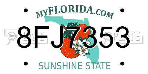 8FJ7353 Florida License Plate